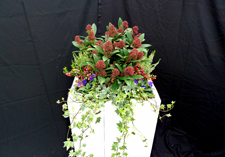 najaar arrangement: Dokkum