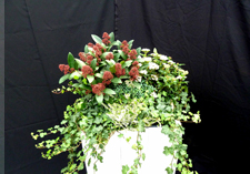 najaar arrangement: Workum