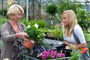 Tuincentrum Houten