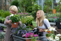 Tuincentrum Houten
