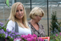 Tuincentrum Houten