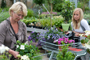 Tuincentrum Houten