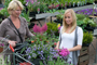Tuincentrum Houten