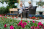 Tuincentrum Houten
