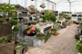 Tuincentrum Houten
