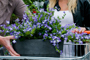 Tuincentrum Houten