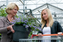Tuincentrum Houten