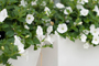 Tuincentrum Houten