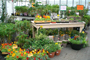 Tuincentrum Houten