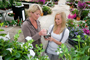 Tuincentrum Houten