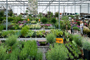 Tuincentrum Houten