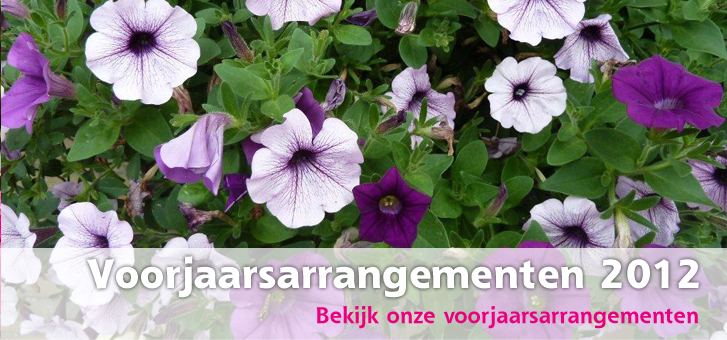 Nieuwe voorjaarsarramgenten