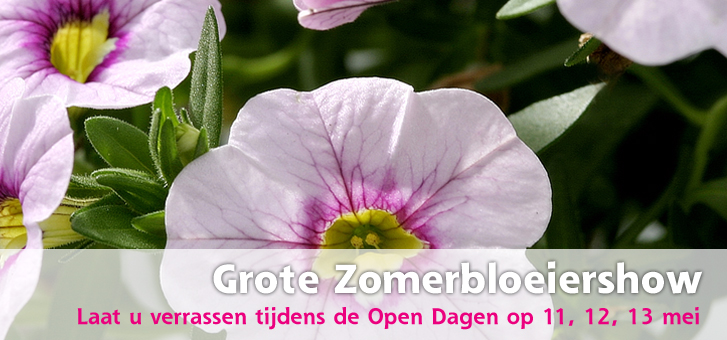 Laat u verrassen op de Zomerbloeiershow tijdens de open dagen van 11 tot 13 mei