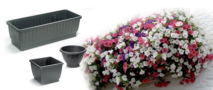 Inplantservice