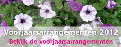Inplantservice