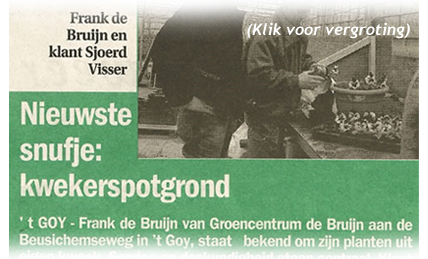 Kwekerspotgrond